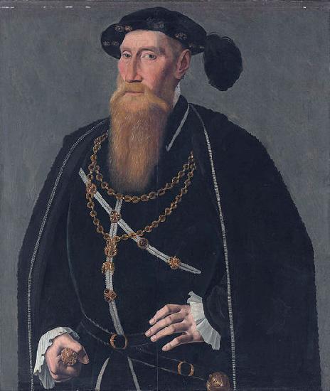 Jan van Scorel Portrait of Reinoud III van Brederode France oil painting art